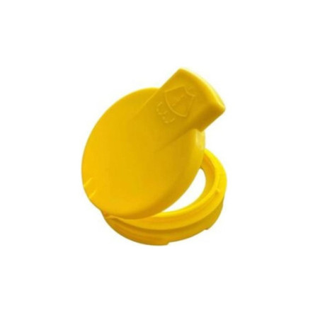 CAM SU DEPO KAPAĞI MEGANE IV SCENIC IV 15-